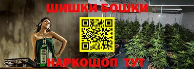 прущие крисы Партизанск
