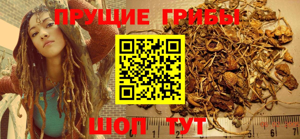 Псилоцибиновые грибы Cubensis Соликамск