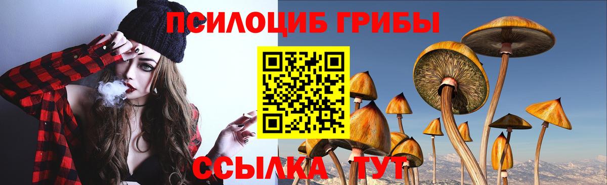 что такое   Псилоцибиновые грибы MAGIC MUSHROOMS  Вход с VPN  Галлюциногенные грибы мухоморы  Соликамск 